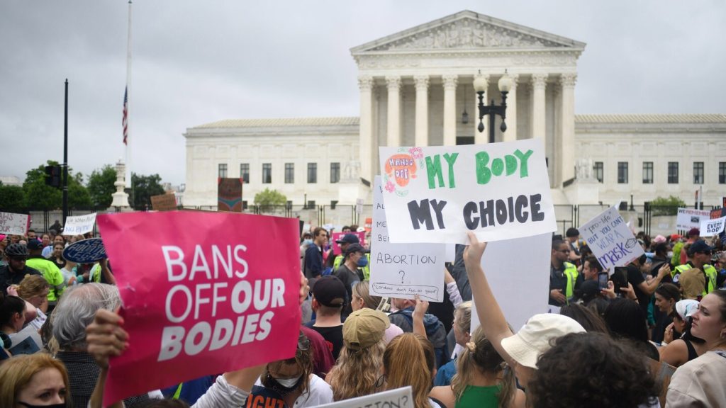 Abortion rights protest in front of U.S. Supreme Court, “My Body My Choice” प्लेकार्ड”