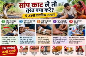 सांप काटने पर 5 जरूरी प्राथमिक उपचार और 6 गलतियाँ जिनसे बचना चाहिए।