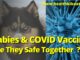 rabies and covid vaccine