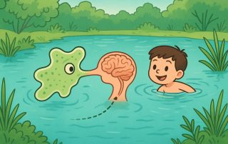 BRAIN EATING AMOEBA